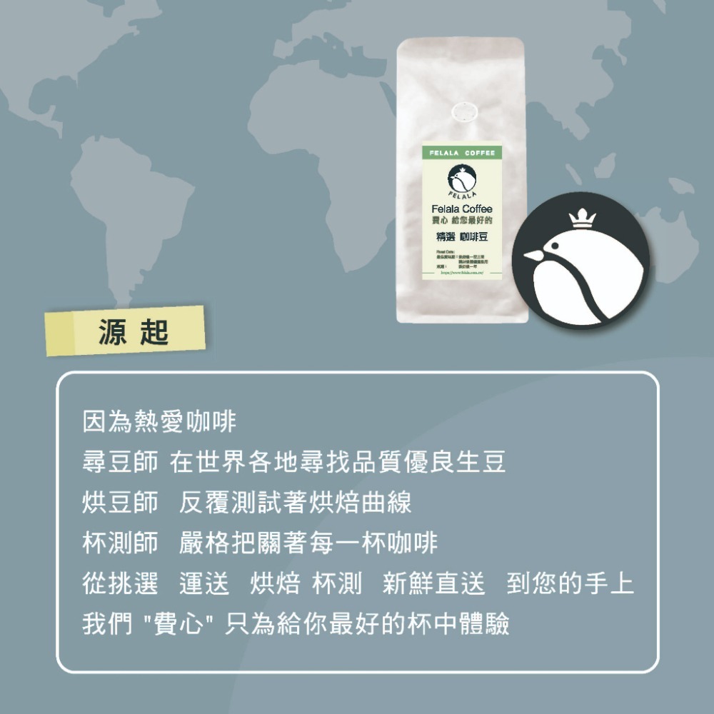 【費拉拉】哥倫比亞 考卡 水洗(半磅)中淺焙/藍莓.花香.檸檬草.柚子茶 精品咖啡豆 新鮮烘焙-細節圖4