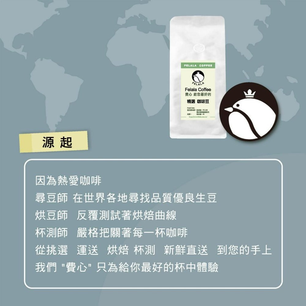 【費拉拉】哥倫比亞 考卡 日曬(半磅)  中淺焙/酒香.草莓.香草.白葡萄 精品咖啡豆 新鮮烘焙-細節圖5