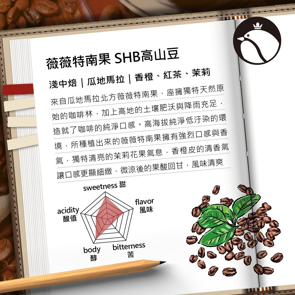 【費拉拉】瓜地馬拉  SHB高品質咖啡豆 (1磅)手沖咖啡 拿鐵 淺中烘焙/香橙.紅茶.茉莉-細節圖3