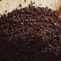 【費拉拉】尼加拉瓜 COE莊園 水洗咖啡豆(1磅)中烘焙/紅茶.太妃糖.橙皮.榛果 阿拉比卡 電子發票【買一送一】-規格圖7