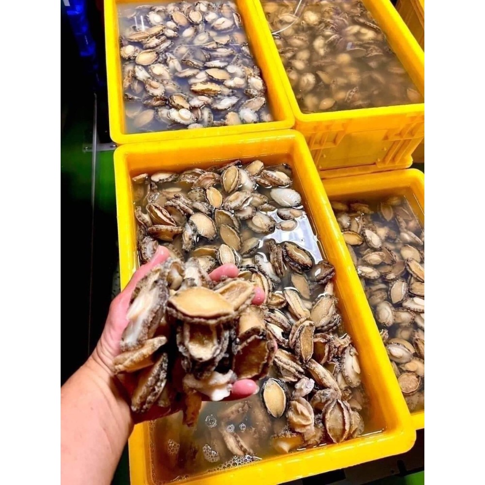 @bbbuy NG鮑魚清肉-細節圖3