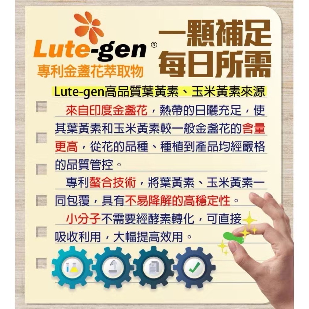 碧荷柏 OPC智利酒果蜂萃花青葉黃素膠囊/葉黃素 30顆-細節圖3