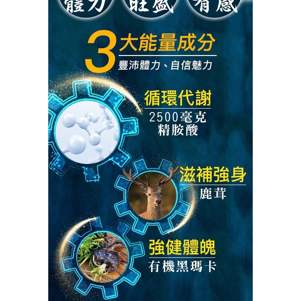 【炫煬堂】精威鋒精胺酸黑瑪卡鹿茸賦能飲(15包/盒)-細節圖3