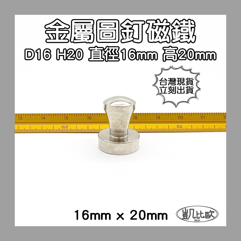 A0453 D16H20金屬圖釘（3入）