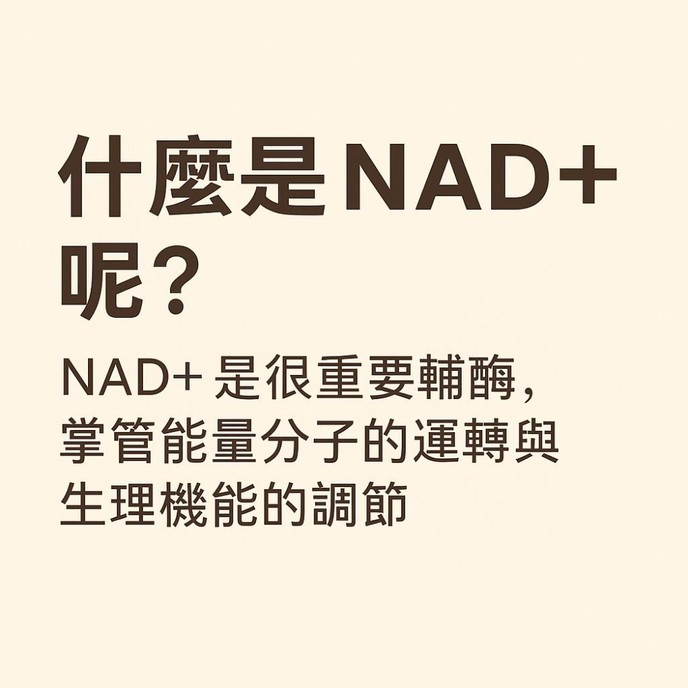 enya 恩亞 D-核糖粉 100g/袋 ®RiaGev ｜D-Ribose 含 菸鹼醯胺 棕櫚油 美國專利【恩亞生活】-細節圖5