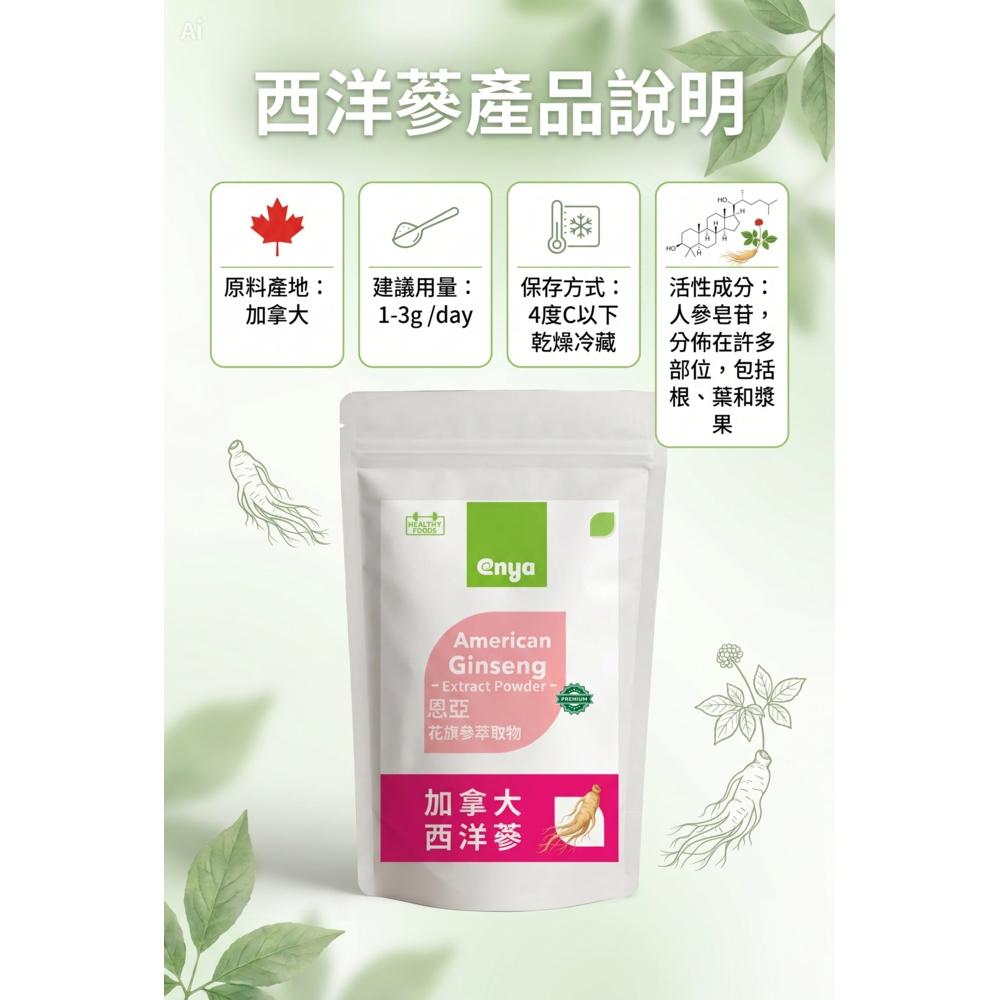 enya 恩亞 花旗參 100g/袋 加拿大原料 粉狀萃取物 花旗參粉末 專業保健原料 又稱西洋蔘 含刺五加【恩亞生活】-細節圖3