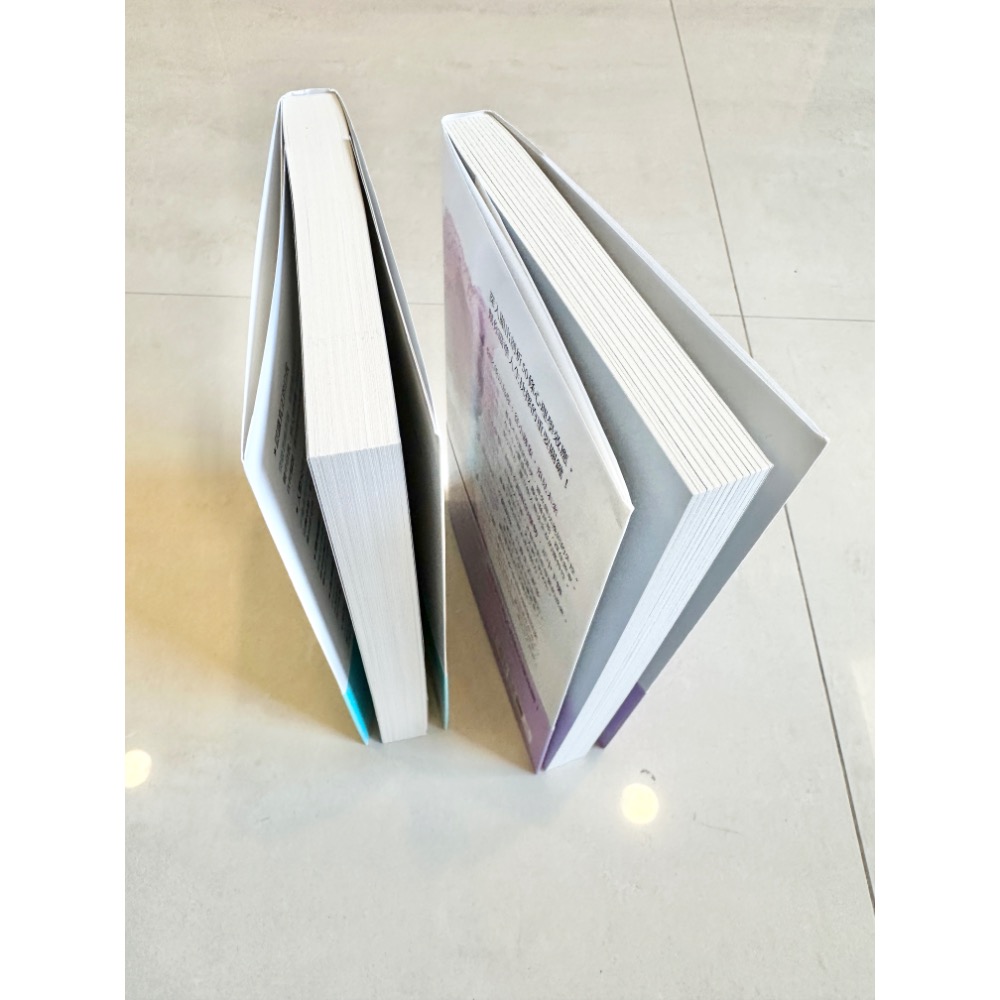 蘿絲車庫：近全新 墨菲定律/蝴蝶效應-細節圖3