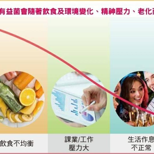 【現貨】專利超級複合益生菌/乳酸菌/調整體質使排便順暢-細節圖6
