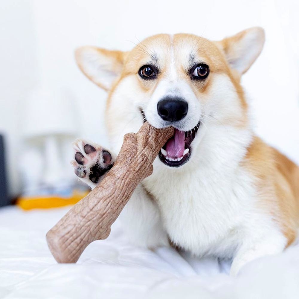 Petstages 耐咬史迪克 小/中/大型犬 狗狗玩具 啃咬玩具 寵物玩具 狗狗潔牙玩具 狗狗磨牙 狗狗啃咬 磨牙玩具-細節圖2