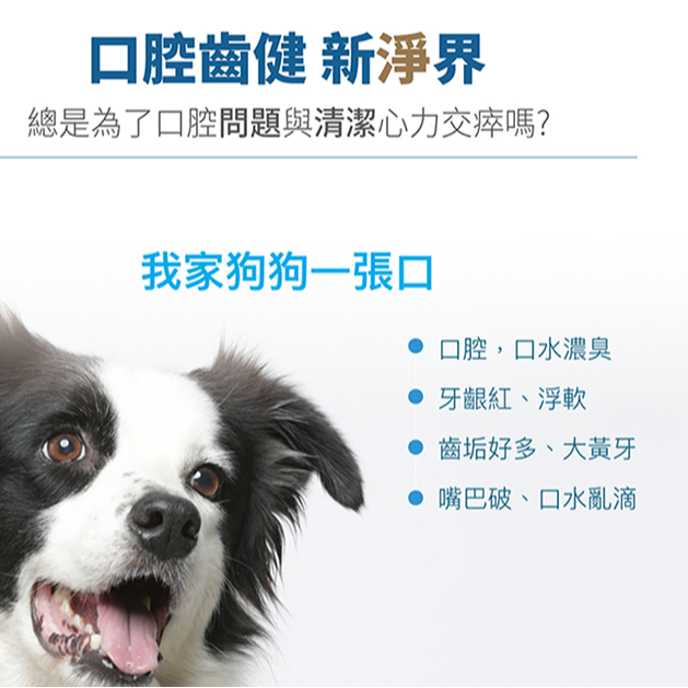 Moreson 木入森 固齒麗口滴劑/30ml 犬專用 寵物口腔滴劑 犬用口腔滴劑 狗狗口腔滴劑 口腔滴劑 犬口腔保健-細節圖2