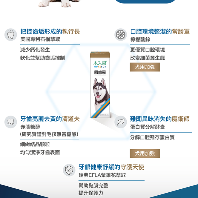 Moreson 木入森 固齒麗口滴劑/30ml 犬專用 寵物口腔滴劑 犬用口腔滴劑 狗狗口腔滴劑 口腔滴劑 犬口腔保健-細節圖4