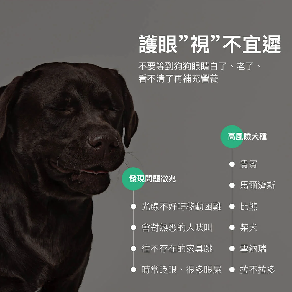 Moreson 木入森 好眼力 (葉黃素) 犬專用 寵物眼睛保健 補充眼睛流失營養 眼睛保健葉黃素 狗狗眼睛保健-細節圖2