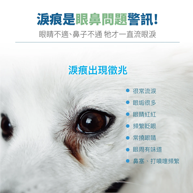 Moreson 木入森 痕淨白 (止淚少刺激) 犬專用 寵物淚痕保健 狗狗撫痕 犬用撫痕 寵物撫痕-細節圖2