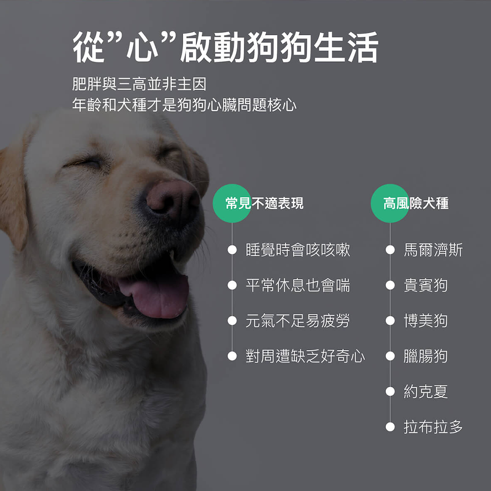 Moreson 木入森 珍心動 (心臟保健) 犬專用 寵物心臟保健 狗狗心臟保健 犬用心臟保健 心臟保健 犬心臟保健-細節圖2