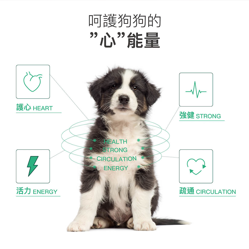 Moreson 木入森 珍心動 (心臟保健) 犬專用 寵物心臟保健 狗狗心臟保健 犬用心臟保健 心臟保健 犬心臟保健-細節圖3