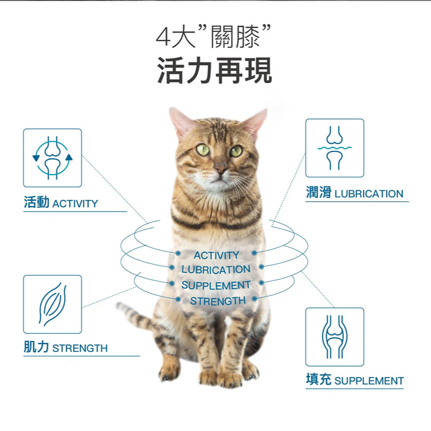 Moreson 木入森 有關膝 (關節保健) 貓咪專用 寵物關節保健 貓咪關節保健 貓關節保健 關節保健 貓咪關膝保健-細節圖3