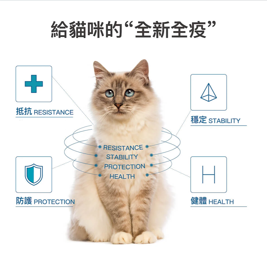 Moreson 木入森 護疫升 (離胺酸等六大免疫配方) 貓咪專用 寵物營養品 貓咪營養品 營養品 貓咪保健品-細節圖3