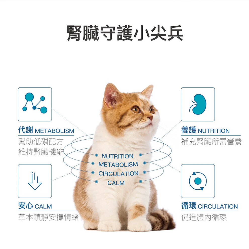 Moreson 木入森 保腎利(貓咪腎臟保健) 貓咪專用 寵物腎臟保健 貓咪腎臟保健 貓腎臟保健 腎臟保健-細節圖3