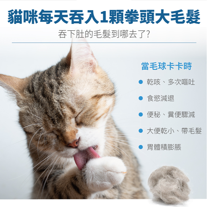 Moreson 木入森 排毛粉 (三種風味) 貓咪專用 寵物排毛粉 貓咪排毛粉 排毛粉 貓排毛粉 貓咪化毛粉 化毛粉-細節圖2