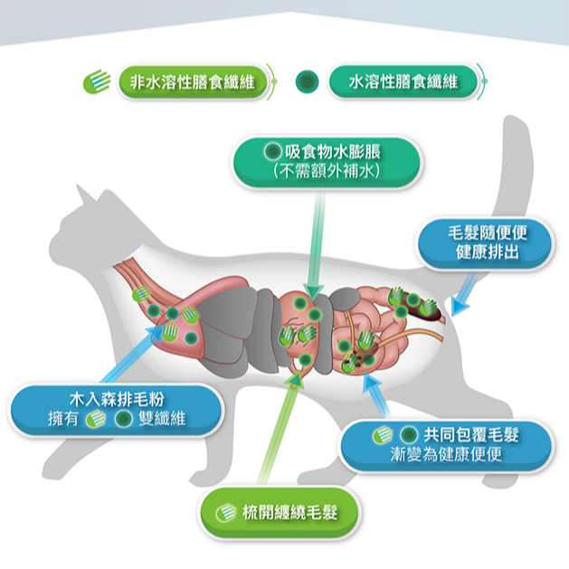 Moreson 木入森 排毛粉 (三種風味) 貓咪專用 寵物排毛粉 貓咪排毛粉 排毛粉 貓排毛粉 貓咪化毛粉 化毛粉-細節圖5