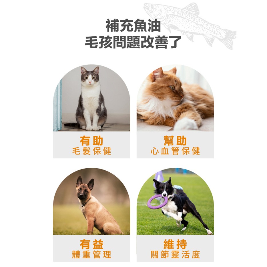 荷蘭 Braaaf 巴爾弗 100%純天然挪威鮭魚油500ml 犬貓適用 寵物魚油 狗狗魚油 貓咪魚油 魚油-細節圖6