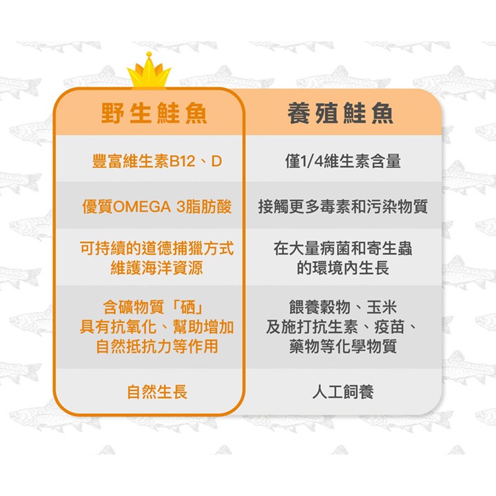 荷蘭 Braaaf 巴爾弗 100%純天然挪威鮭魚油500ml 犬貓適用 寵物魚油 狗狗魚油 貓咪魚油 魚油-細節圖8