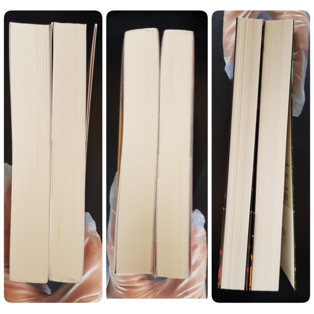 [不拆售/只有2本/另贈小說1本]凌淑芬 遺落之子 第1集限量簽名燙銀書盒版+第3集作者親簽版-細節圖5