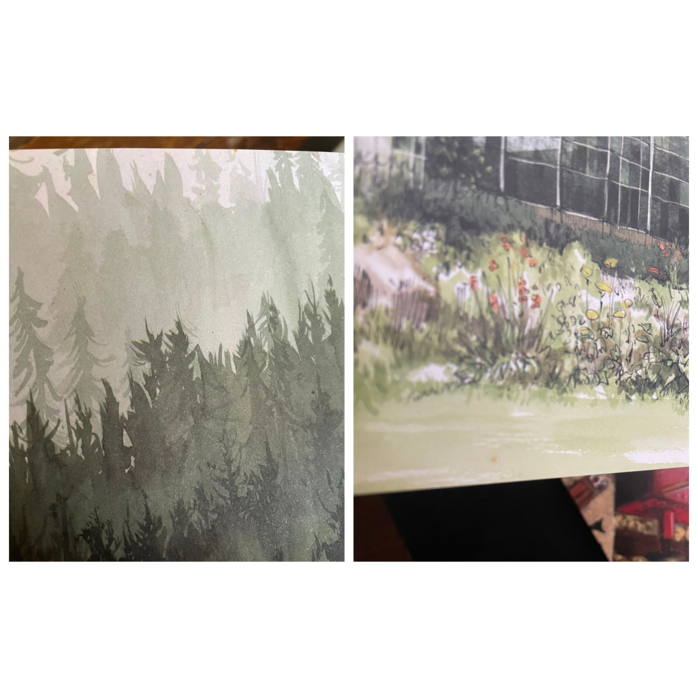 [美國版/不拆售/書側開始明顯泛黃] 哈利波特 illustrated edition 全彩版 1~3-細節圖3