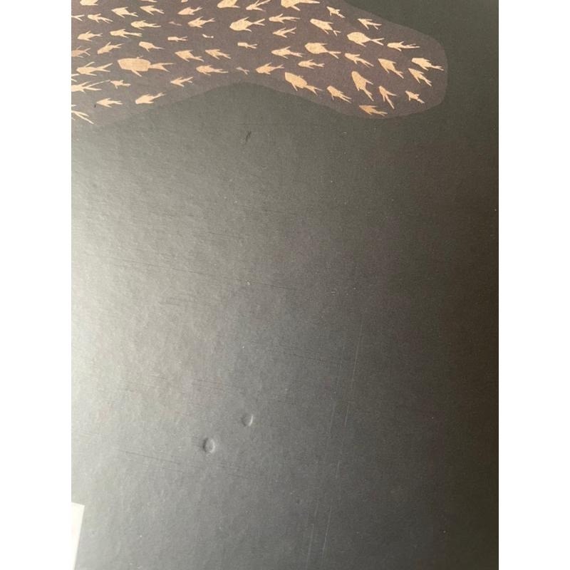 ［絕版］Stone of Youth 青春之石 繪本+二十四節氣書籤+人生就求一次如魚得水流水號珍藏版-細節圖3