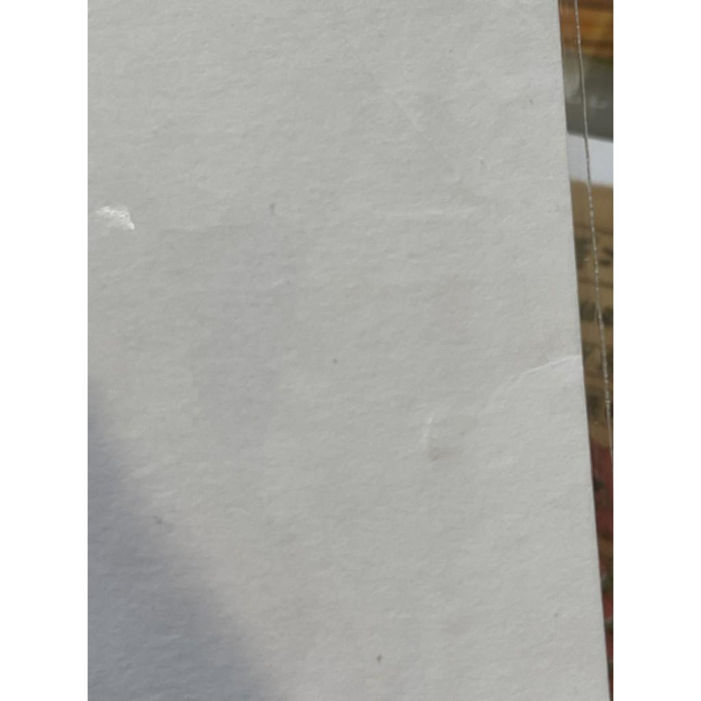 ［有瑕疵］舞動初戀 佐野愛莉 首刷卡-細節圖2