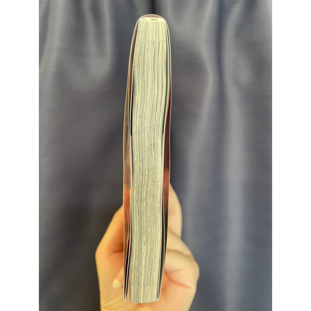 ［可直接下單/僅部分首刷/新增日版第6集］不踹不踩不成愛 台版1~4+日版第5、6集-細節圖8