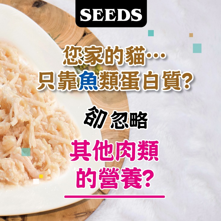 SEEDS 惜時 聖萊西 Mamamia 惜時 雞肉底貓罐 貓大罐頭 白肉罐/副食罐 85g-細節圖2