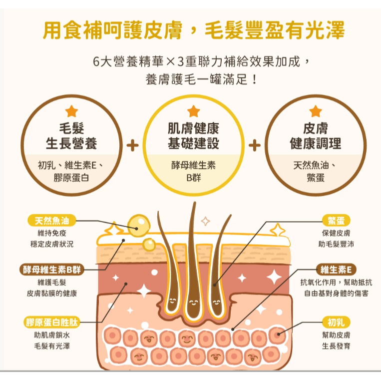 貓狗夢公園🐱🐶｜【汪喵星球】 亮毛護膚鱉蛋粉 60g 皮膚毛髮照護 天然 卵磷脂 魚油 （心臟plus）-細節圖4