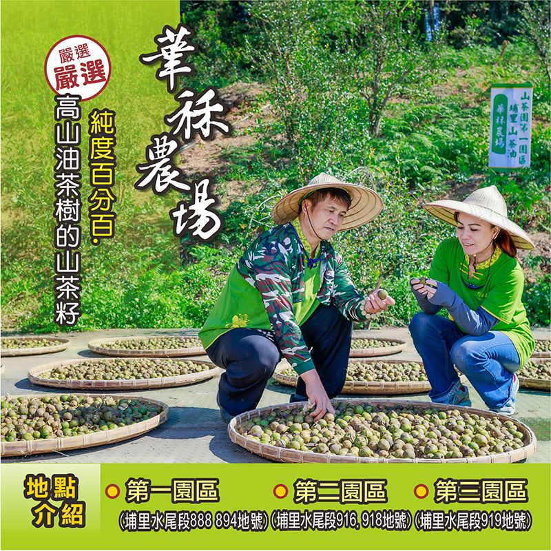 《華秝農場HualiFarm》茶油麵線伴手禮組合＜拌醬／茶油＞-細節圖6