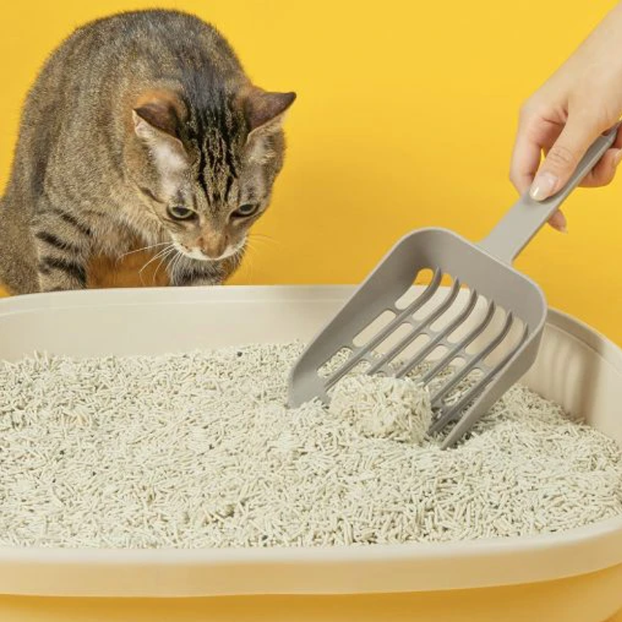 【喵爺宅配免運】LitoMon 怪獸部落 費洛蒙快樂貓砂-豆腐砂 2.7KG*6包入/箱 低粉塵 秒凝結 超除臭 貓砂-細節圖4