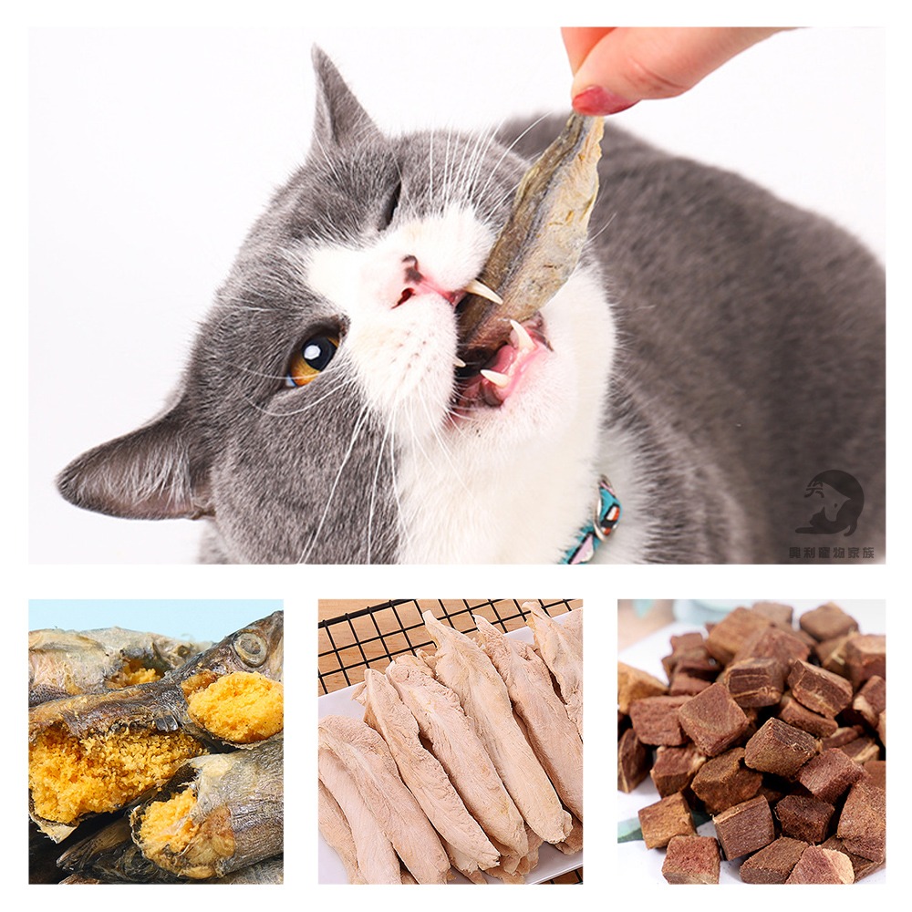 【喵爺】帕米爾-極鮮凍乾超值包 狗狗凍乾 貓咪凍乾 狗凍乾 貓凍乾 狗狗零食 貓咪零食 狗零食 雞胸肉凍乾-細節圖4