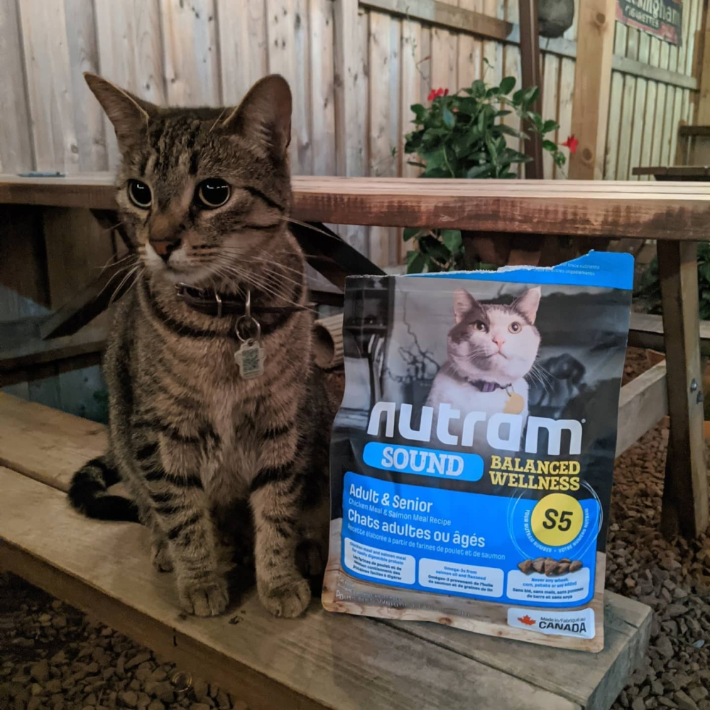 【喵爺】Nutram 紐頓 均衡/理想/無穀全系列貓糧 貓咪飼料 幼貓飼料 成貓飼料 無穀貓飼料 貓糧 貓飼料 飼料-細節圖3