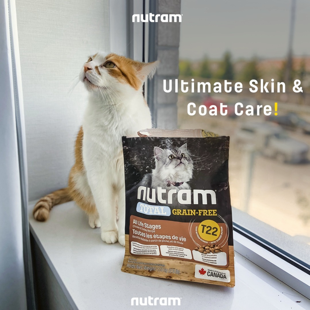 【喵爺】Nutram 紐頓 均衡/理想/無穀全系列貓糧 貓咪飼料 幼貓飼料 成貓飼料 無穀貓飼料 貓糧 貓飼料 飼料-細節圖4