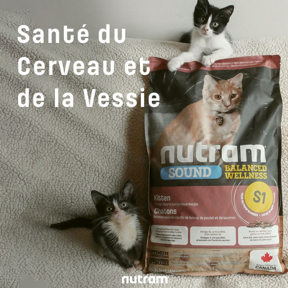 【喵爺】Nutram 紐頓 均衡/理想/無穀全系列貓糧 貓咪飼料 幼貓飼料 成貓飼料 無穀貓飼料 貓糧 貓飼料 飼料-細節圖6