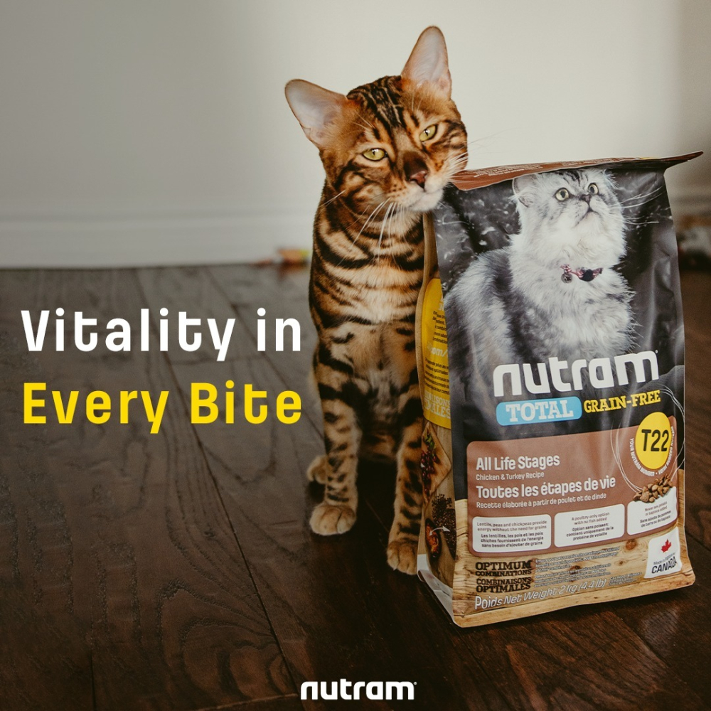 【喵爺】Nutram 紐頓 均衡/理想/無穀全系列貓糧 貓咪飼料 幼貓飼料 成貓飼料 無穀貓飼料 貓糧 貓飼料 飼料-細節圖7