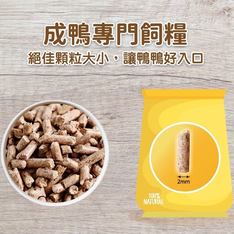 【喵爺】EXPERT艾思柏 柯爾鴨 成鴨均衡營養配方/1KG 柯爾鴨飼料 鴨子飼料 柯爾鴨浮水飼料 小動物飼料-細節圖2