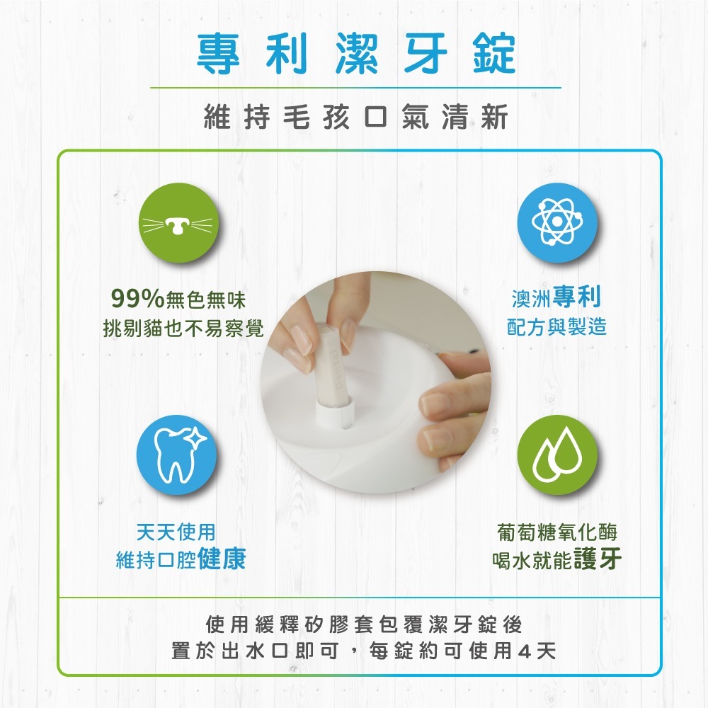 【喵爺】 寵物飲水機 Dog&Cat H2O-有氧濾水機2L/4L/6L飲水機/活水機  狗狗飲水機 貓咪飲水機-細節圖4