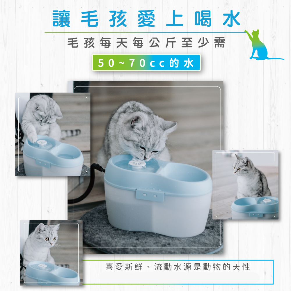 【喵爺】 寵物飲水機 Dog&Cat H2O-有氧濾水機2L/4L/6L飲水機/活水機  狗狗飲水機 貓咪飲水機-細節圖8