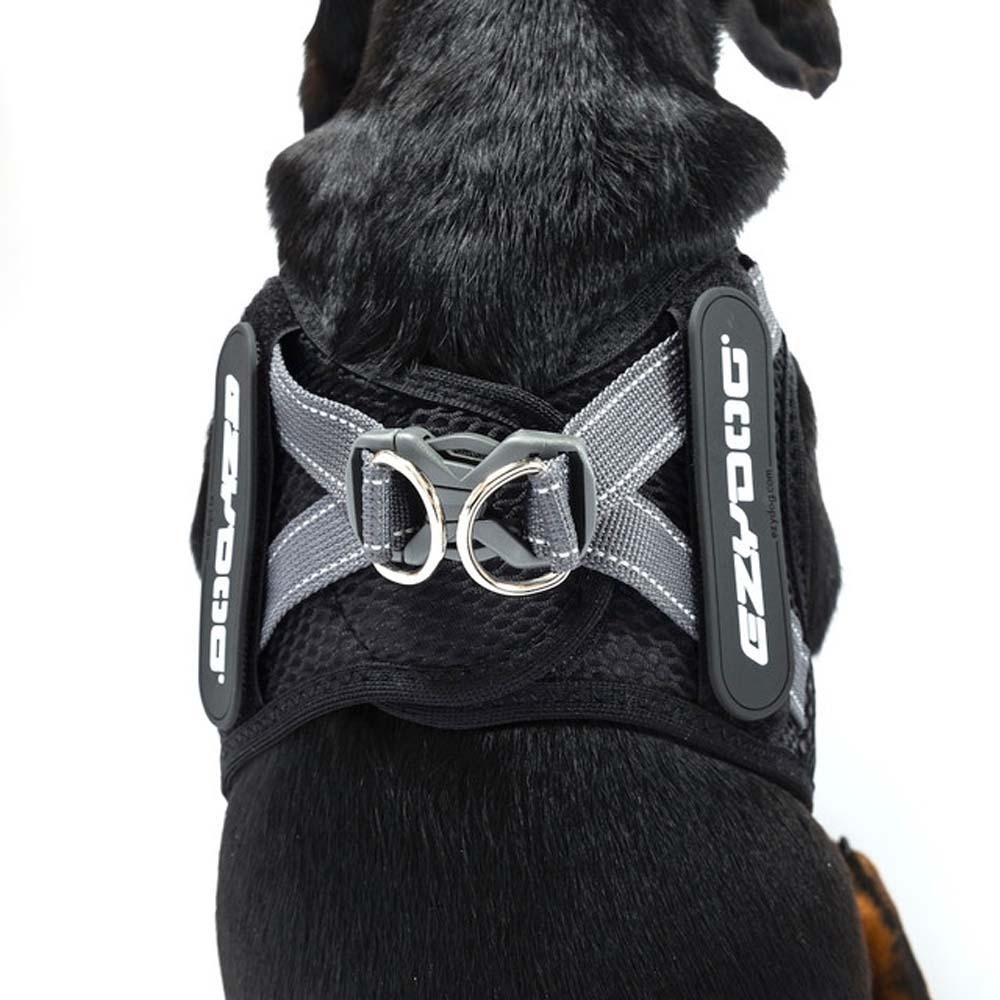 【喵爺】EZYDOG 動能透氣胸背帶 專為小型犬貓設計 透氣網布 安全雙D環 包覆性極佳 寵物胸背帶 狗狗胸背帶 貓咪胸-細節圖5