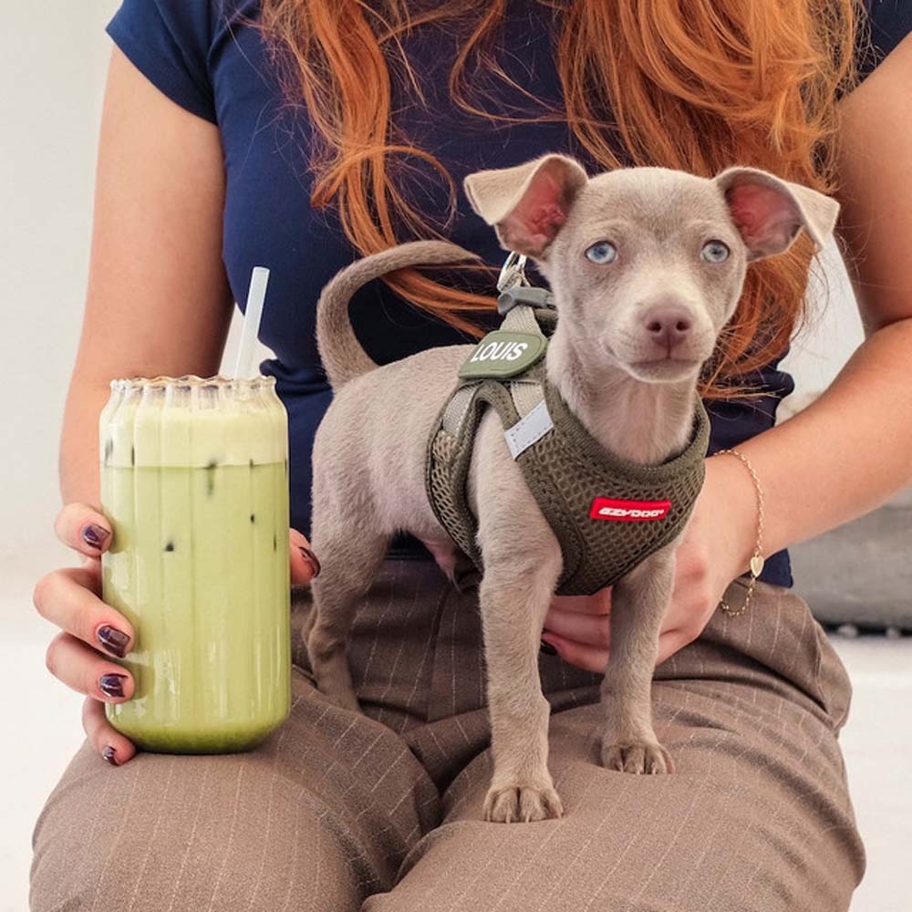 【喵爺】EZYDOG 動能透氣胸背帶 專為小型犬貓設計 透氣網布 安全雙D環 包覆性極佳 寵物胸背帶 狗狗胸背帶 貓咪胸-細節圖6