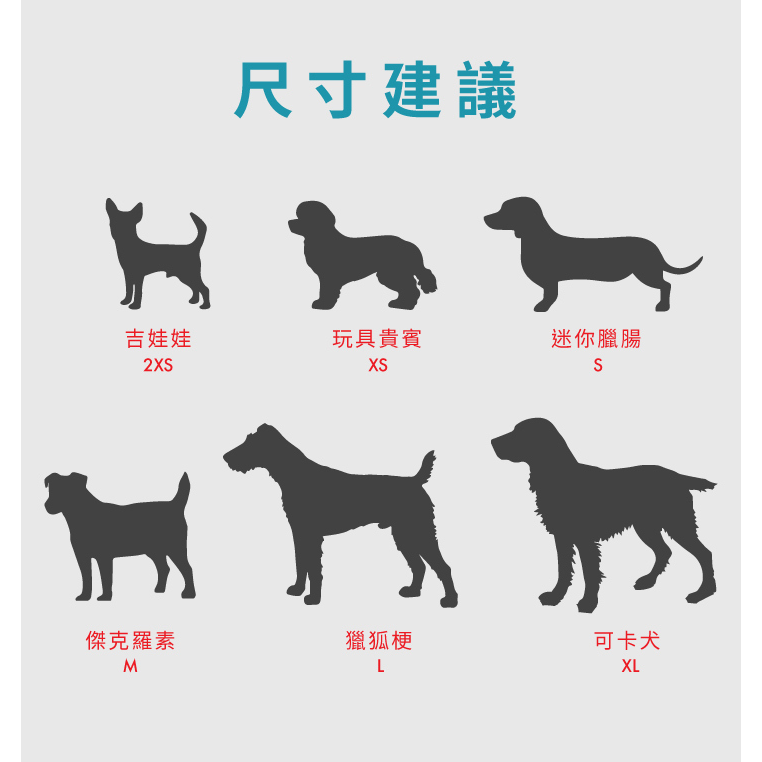 【喵爺】EZYDOG 動能透氣胸背帶 專為小型犬貓設計 透氣網布 安全雙D環 包覆性極佳 寵物胸背帶 狗狗胸背帶 貓咪胸-細節圖8