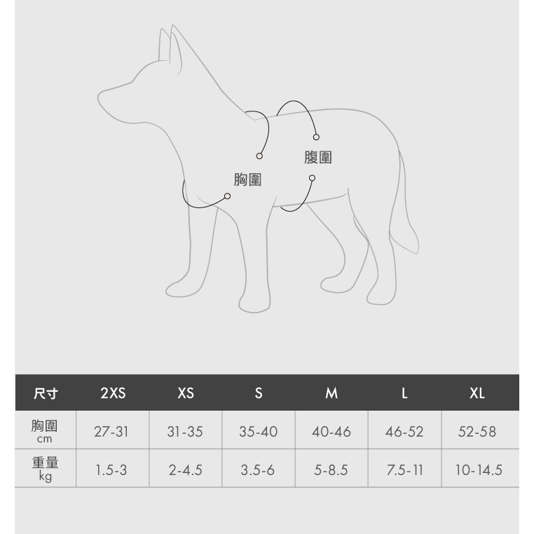 【喵爺】EZYDOG 動能透氣胸背帶 專為小型犬貓設計 透氣網布 安全雙D環 包覆性極佳 寵物胸背帶 狗狗胸背帶 貓咪胸-細節圖9