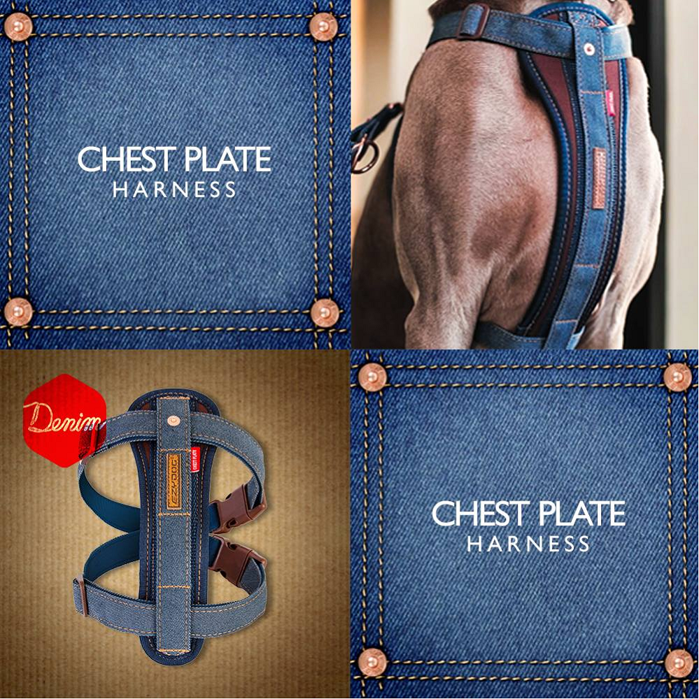 【喵爺】 EZYDOG 狗體工學胸背帶(丹寧) 小型犬 中型犬 大型犬 寵物胸背 狗狗胸背 犬用胸背 貓咪胸背帶-細節圖5