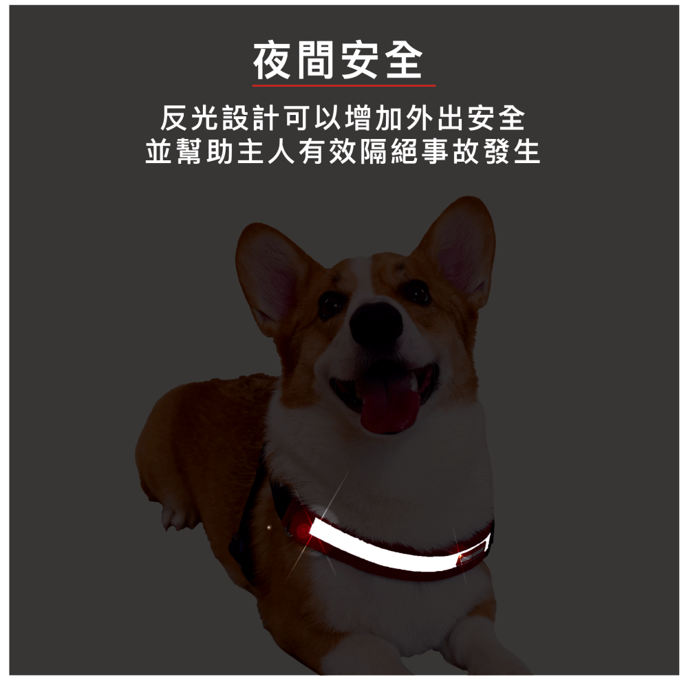 【喵爺】 EZYDOG AK47秒穿胸背帶 丹寧 小型犬 中型犬 大型犬 寵物胸背 狗狗胸背 犬用胸背 大型胸背-細節圖6
