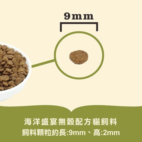 【喵爺】ACANA愛肯拿 無穀貓糧系列 幼貓飼料 成貓飼料 高齡貓飼料 全齡貓飼料 寵物飼料 貓咪飼料 貓飼料-細節圖5